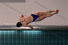 Women's Diving  Wheaton College Women’s Diving vs Mount Holyoke College. - Photo by Keith Nordstrom : Wheaton, Swimming & Diving